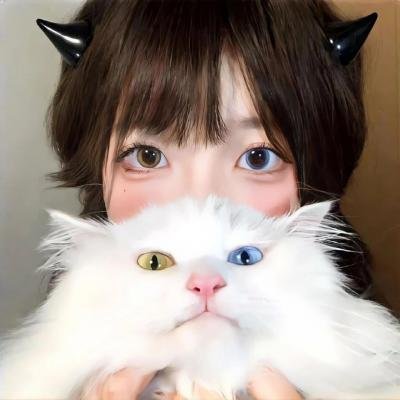 住在海边的猫头鹰