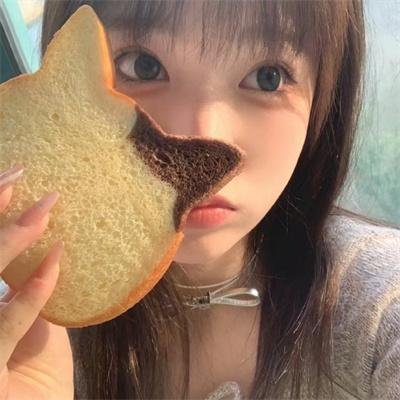 猫头鹰之森